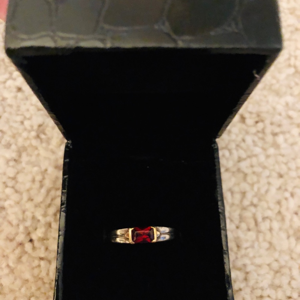Sterling silver and 14kt gold garnet ring